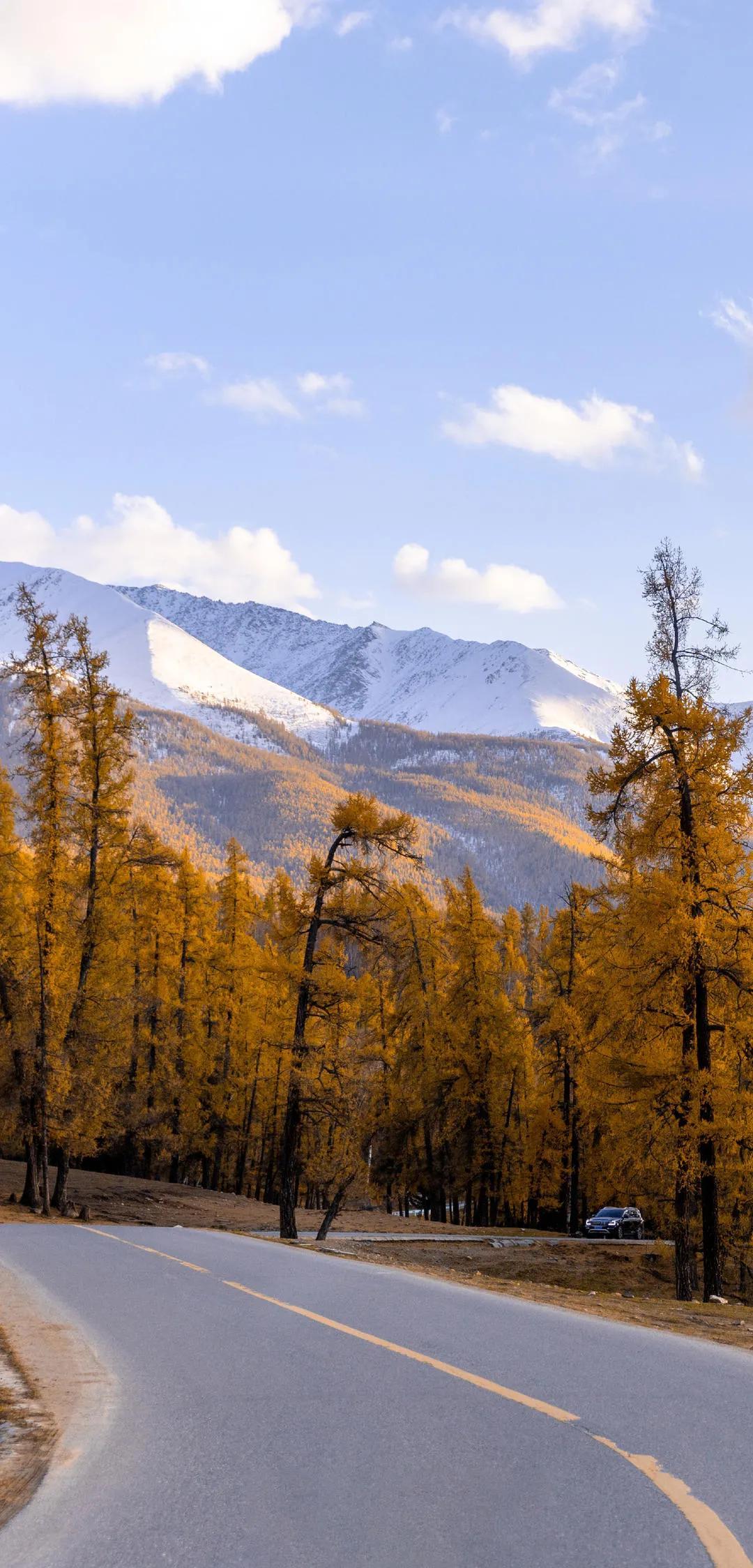 新疆，稳定繁荣的西北明珠